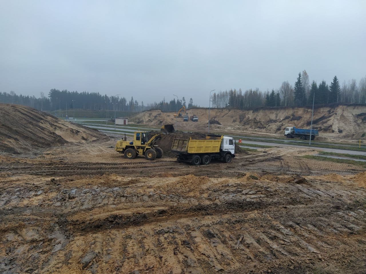 Корчевание и вытряхивание пней с расчисткой территории