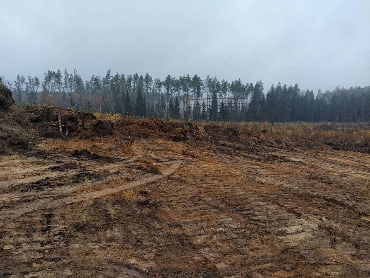 Корчевание и вытряхивание пней с расчисткой территории