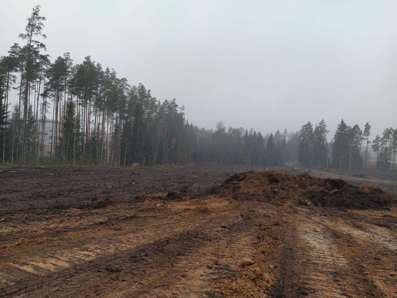 Корчевание и вытряхивание пней с расчисткой территории