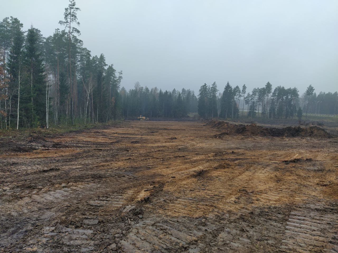 Корчевание и вытряхивание пней с расчисткой территории