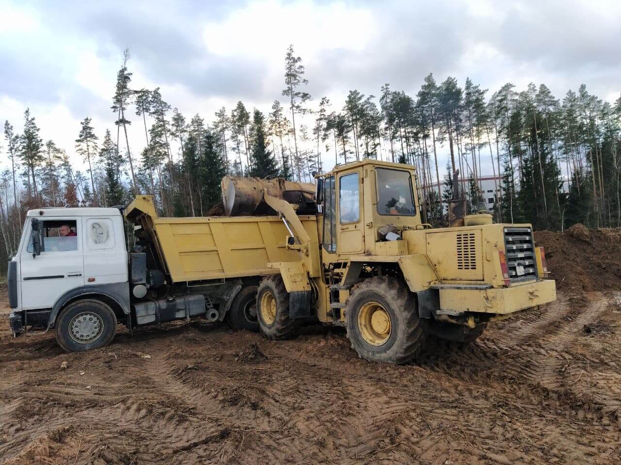 Корчевание и вытряхивание пней с расчисткой территории